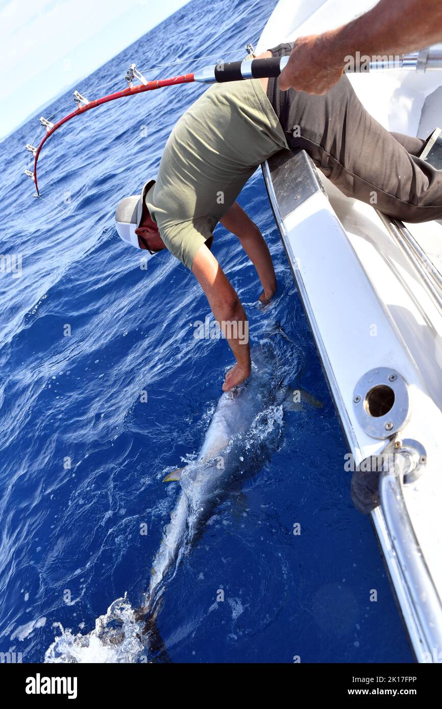 Red Tuna fishing in Sète - Hérault - France Stock Photo