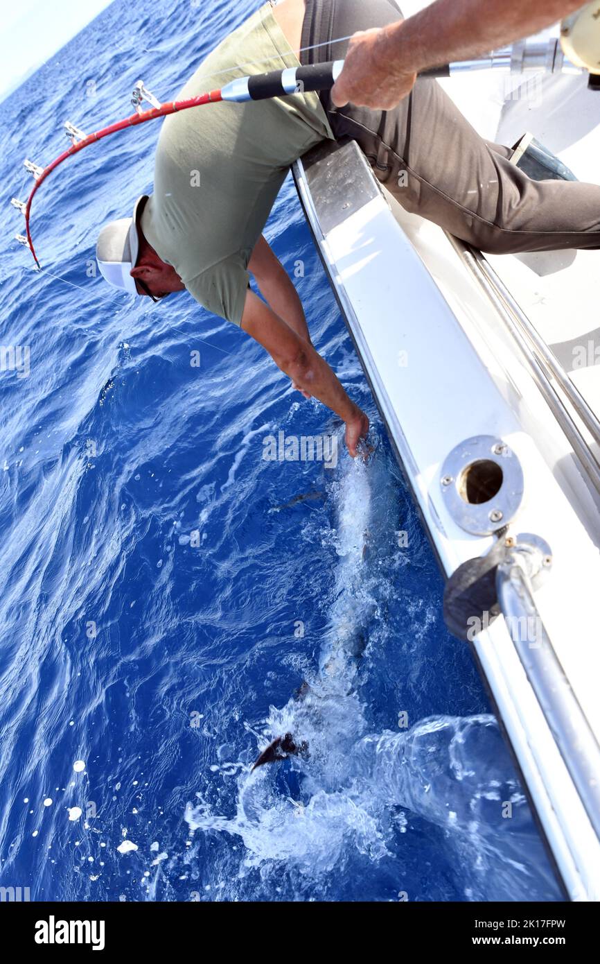 Red Tuna fishing in Sète Hérault France Stock Photo Alamy