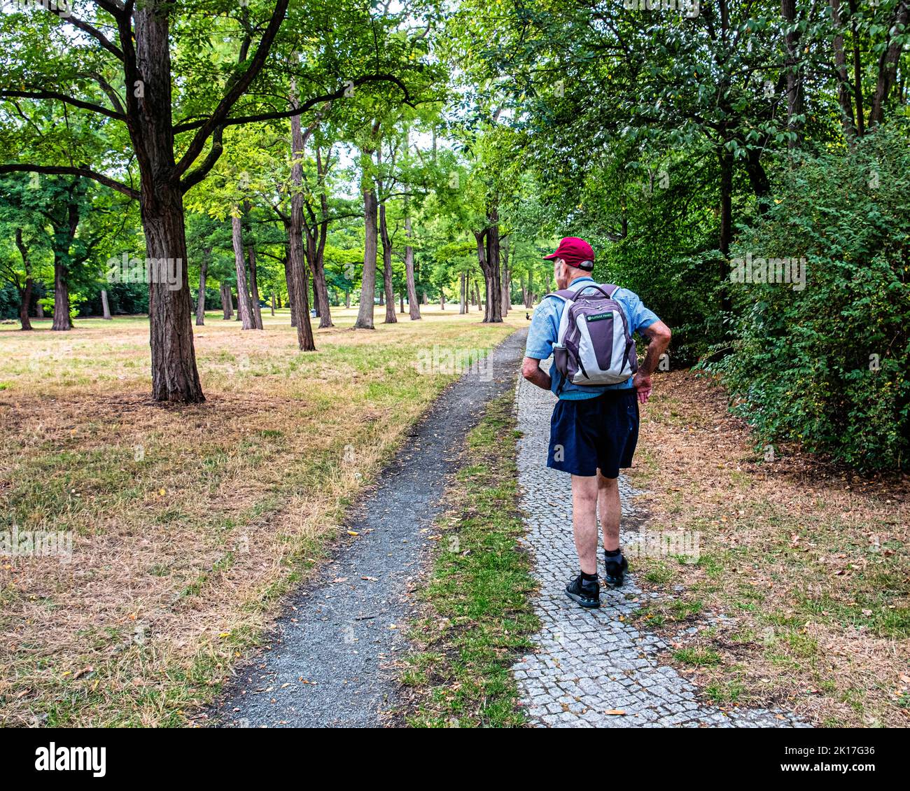 Senior elderly man with backpack walking in acacia forest in Blaschkoallee, Britz, Neukölln, Berlin, Stock Photo