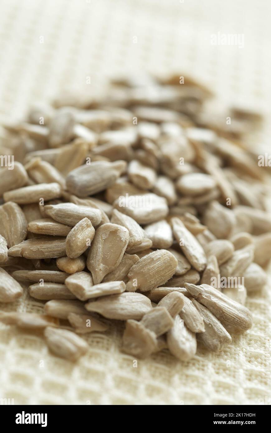 A pile of sunflower seeds close up Stock Photo