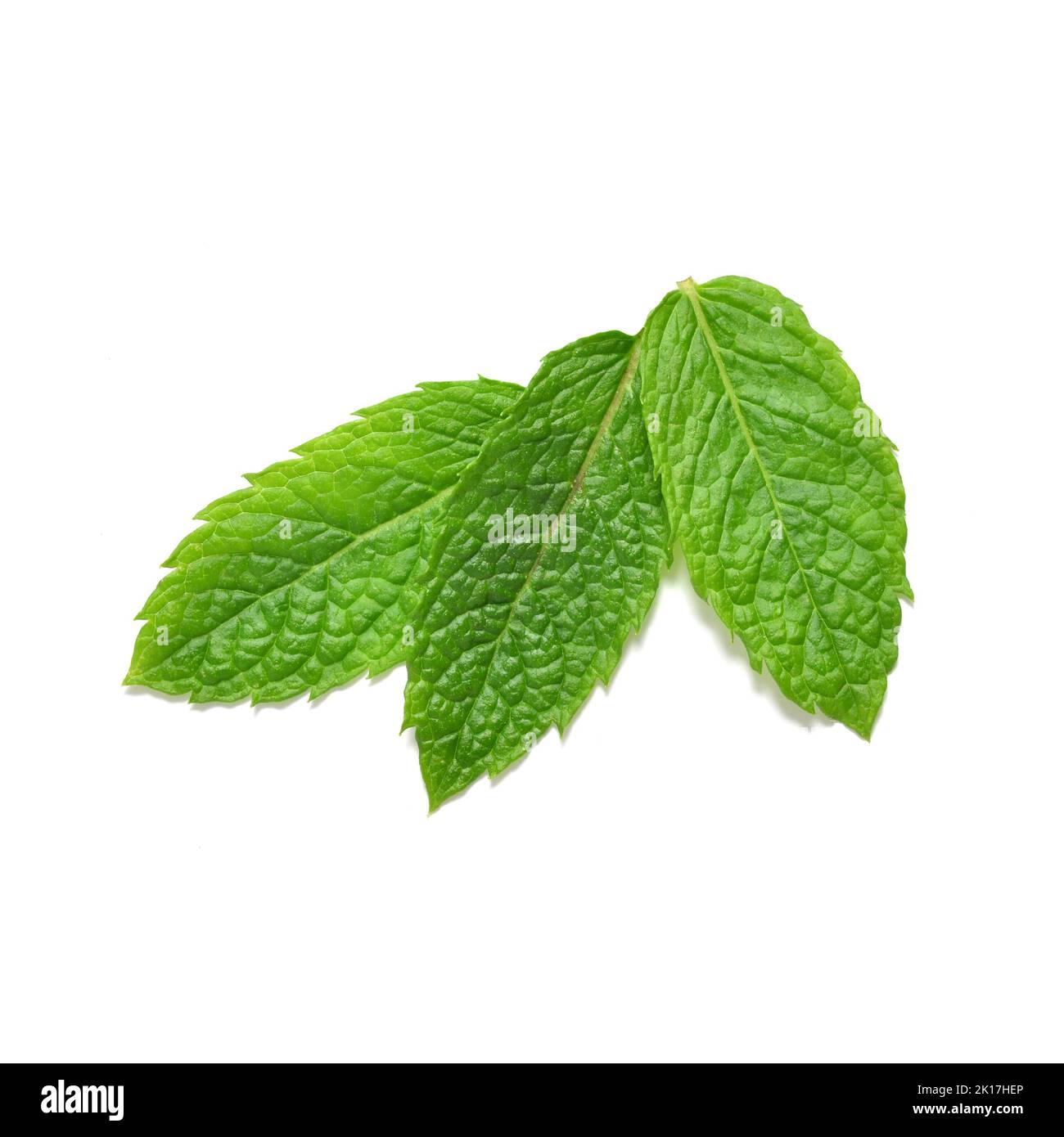 Mint leaves from above isolated on white background cut out Stock Photo