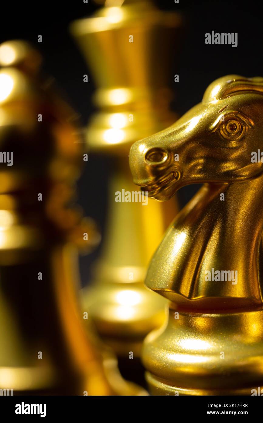 Golden knight chess piece closeup on black background Stock Photo Alamy