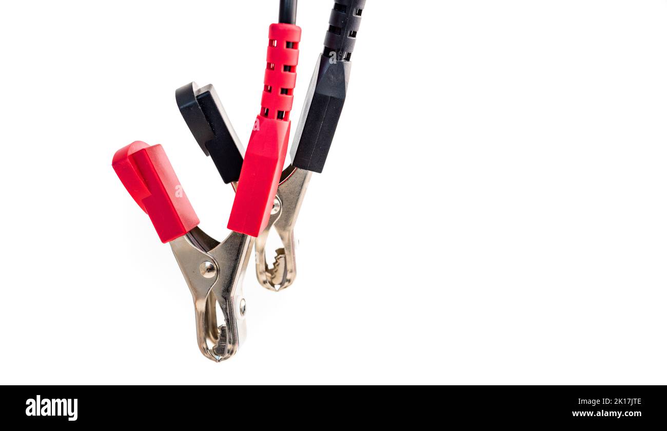 Crocodile alligator clip Stock Photo Alamy