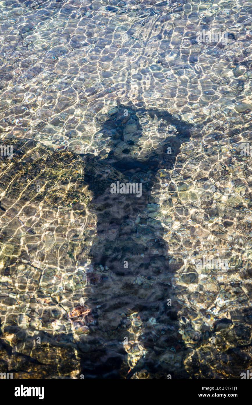 Shadow of a person cast on water surface, Island of Iz, Zadar archipelago, Dalmatia, Croatia Stock Photo