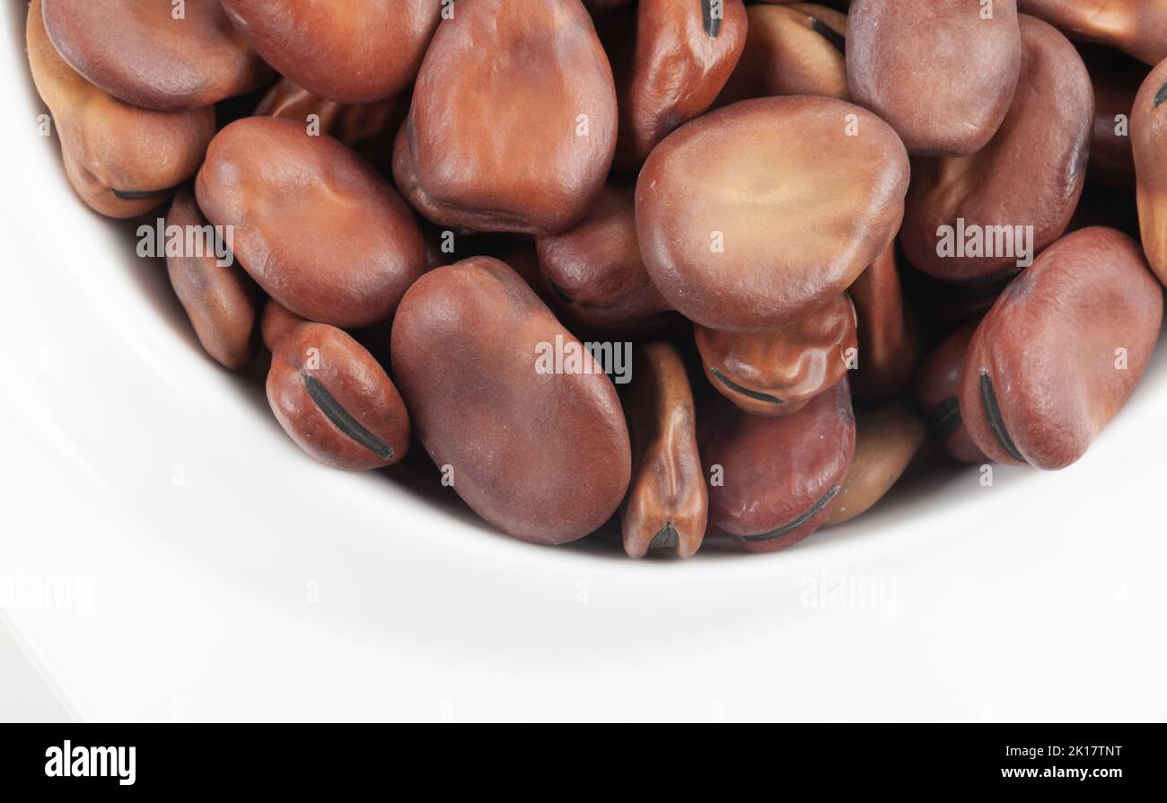 Dried brown fava beans or broad beans, an important ingredient in Middle Eastern cooking, where they are used both for Egyptian foul meddames Stock Photo