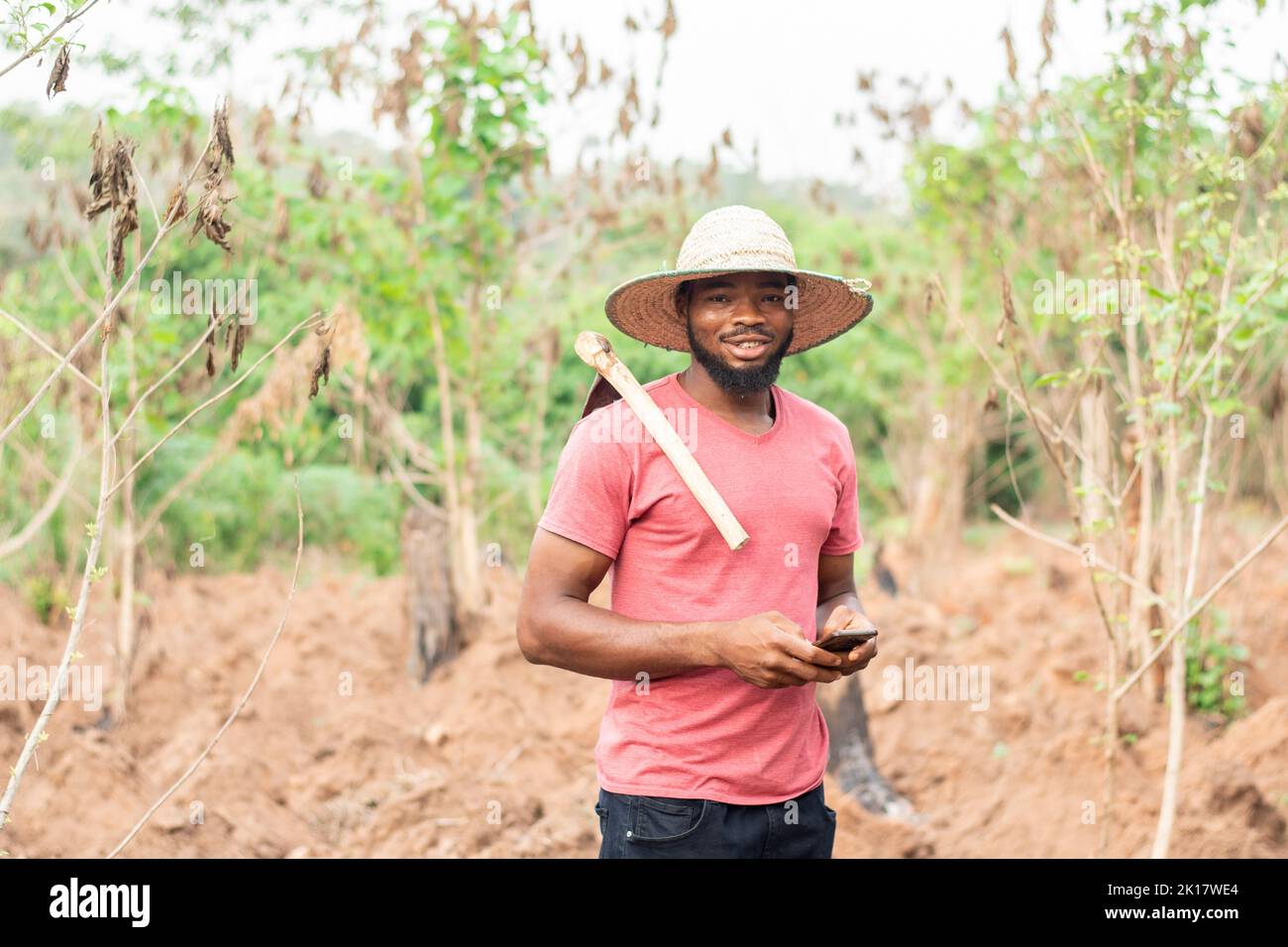 african farmer making use of his phone to text or message Stock Photo