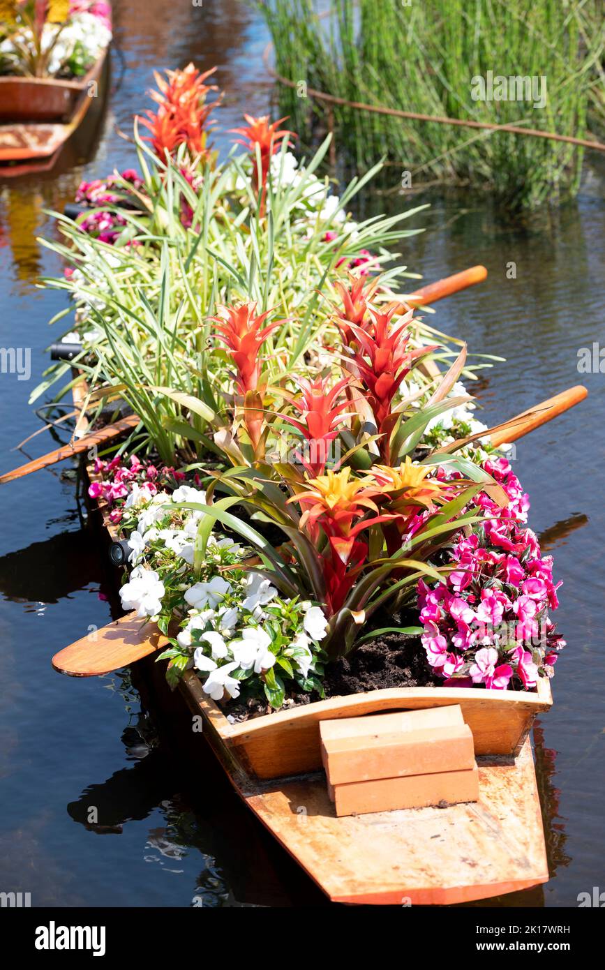 Boat from Thailand decorated with flowers and plants Stock Photo