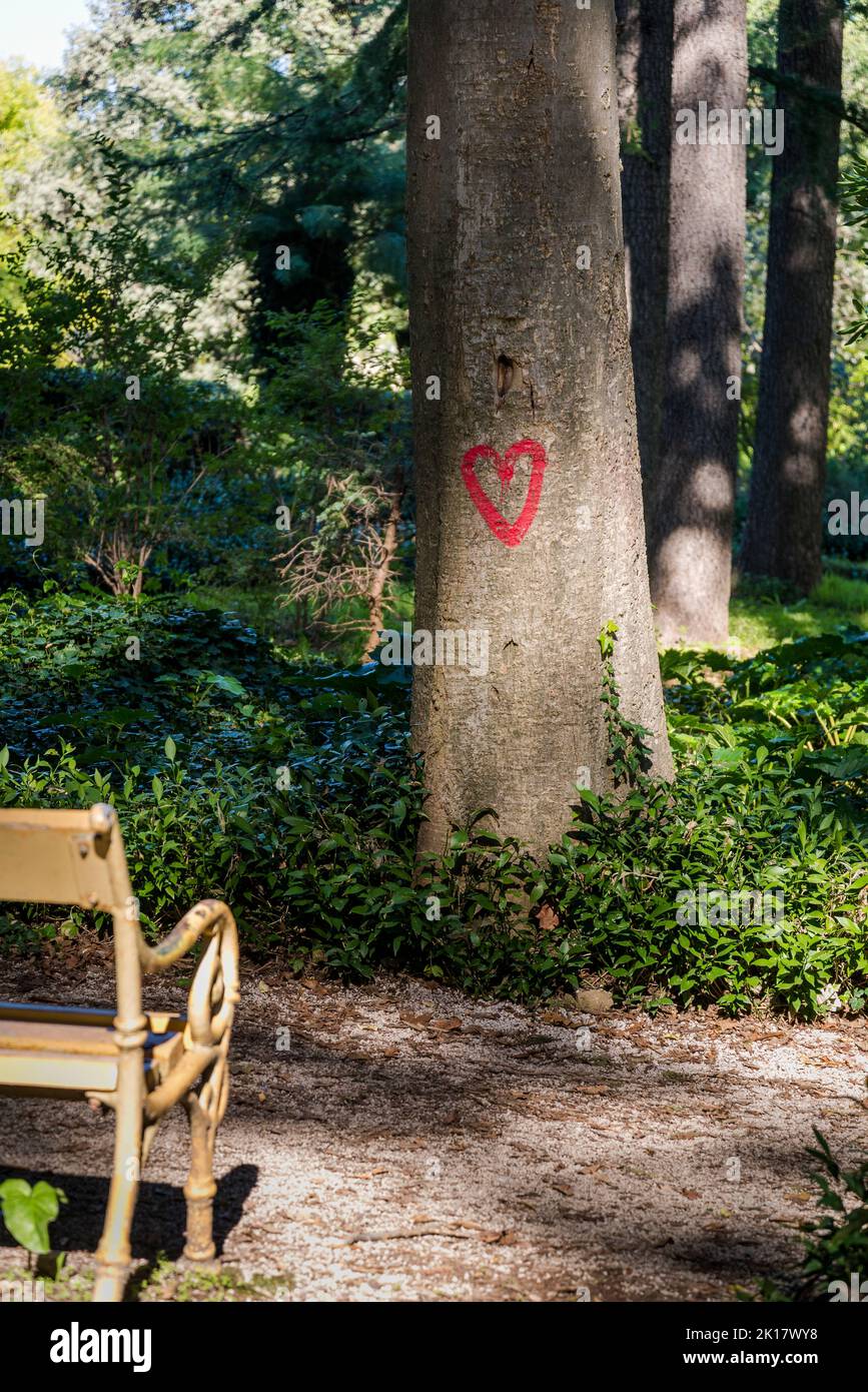 Tree with a heart drawn on it, Zadar, Dalmatia, Croatia Stock Photo