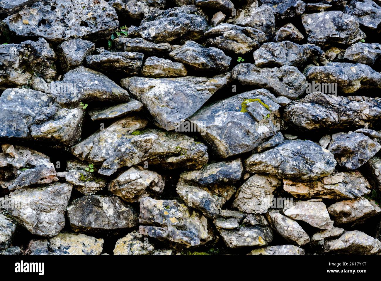 Traditional dry limestone wall constructed without cement, Island of Iz, Zadar archipelago, Dalmatia, Croatia Stock Photo