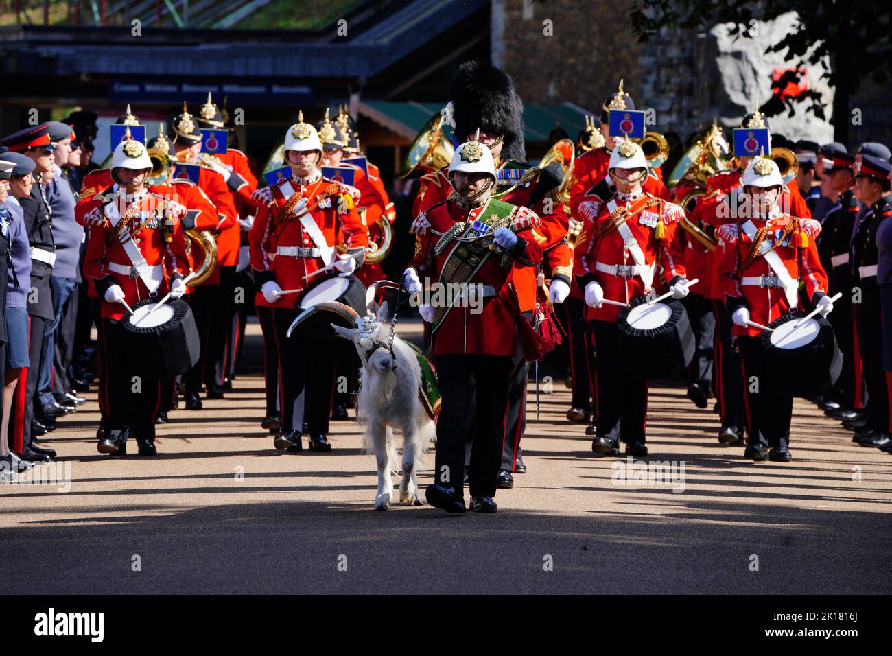 Lance Corporal Shenkin IV, the regimental mascot goat of the Third Battalion of the Royal Welsh regiment with bandsmen, wait for King Charles III to arrive at Cardiff Castle in Wales. Picture date: Friday September 16, 2022. Stock Photo