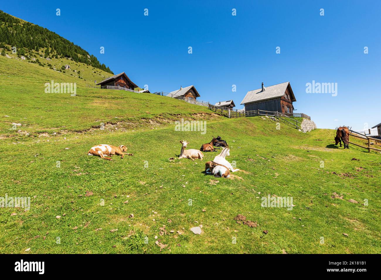 Village with wooden chalets, goats and a horse. Italy-Austria border, Feistritz an der Gail, Osternig or Oisternig peak, Carinthia, Alps, Austria. Stock Photo