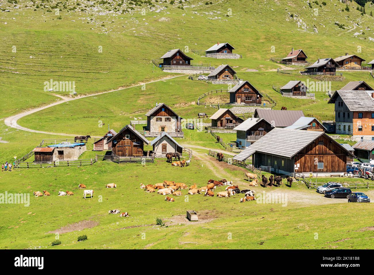 Village in the Carnic Alps with herd of dairy cows and horses. Mountain peak of Osternig or Oisternig, Italy-Austria Border. Feistritz an der Gail. Stock Photo