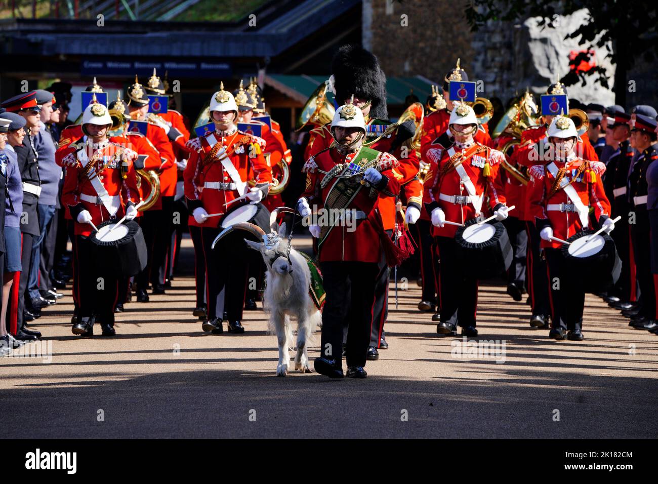 Lance Corporal Shenkin IV, the regimental mascot goat of the Third Battalion of the Royal Welsh regiment with bandsmen, wait for King Charles III to arrive at Cardiff Castle in Wales, Britain. September 16, 2022. Ben Birchall/Pool via REUTERS Stock Photo