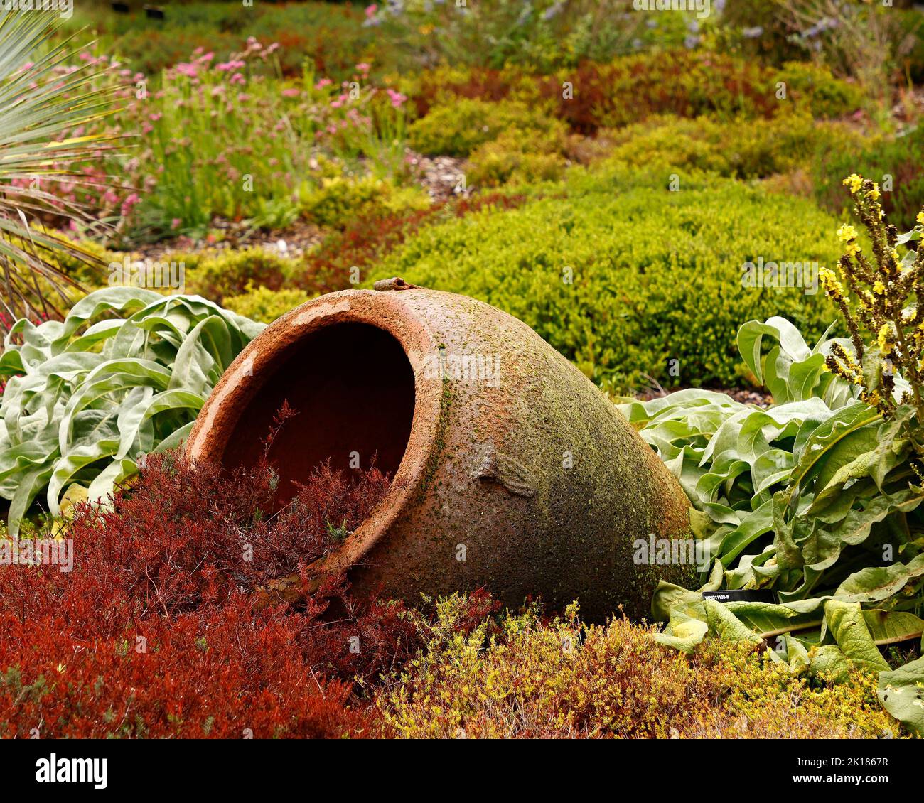 Big Stone Park/garden Flowerpot With Ornament And Evergreen Plant In Garden  Stock Photo, Picture and Royalty Free Image. Image 10606301.