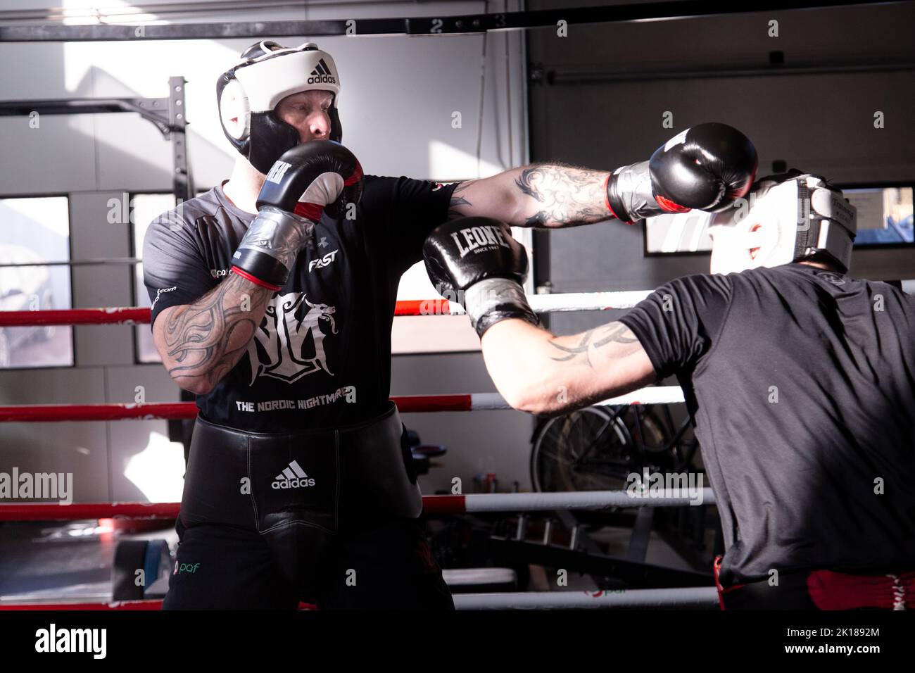 Finnish heavyweight Robert Helenius sparring at his training gym in  Mariehamn on Åland in Finland. Photograph: Rob Watkins/Alamy Stock Photo -  Alamy