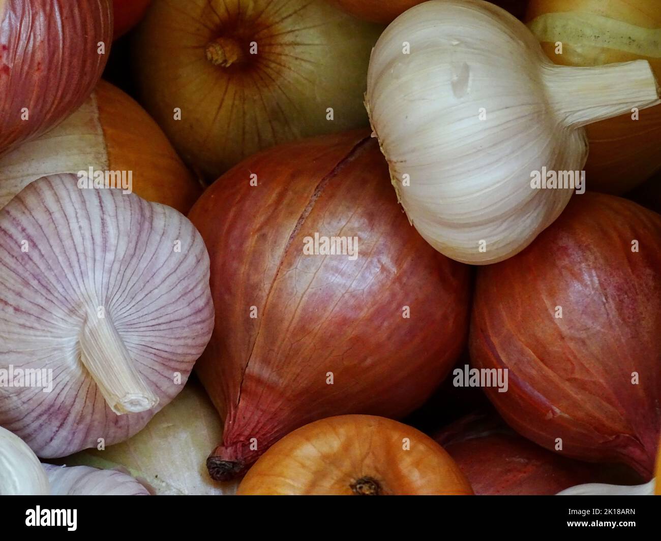 Garlics and onions hi-res stock photography and images - Alamy