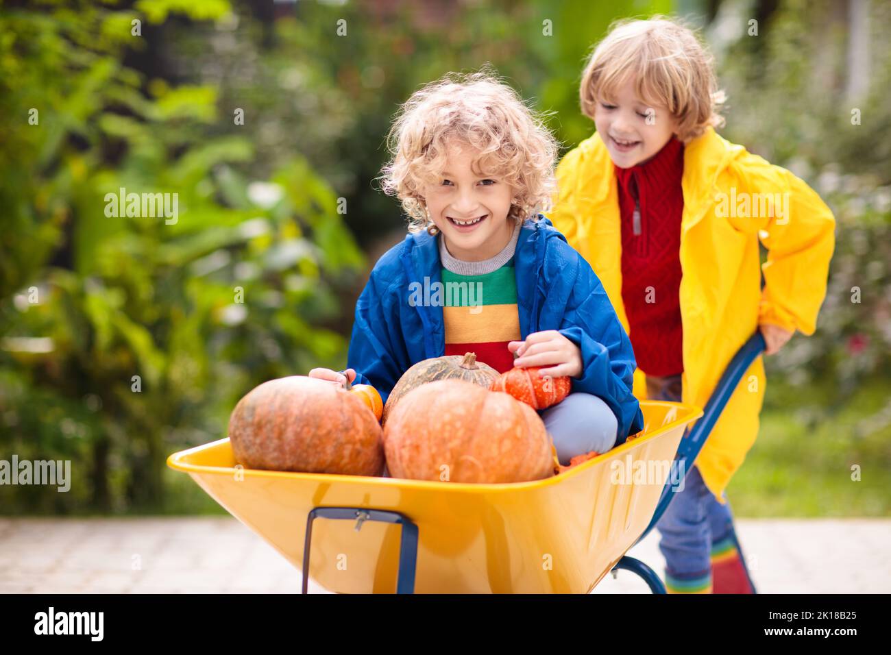 Kids in wheelbarrow on pumpkin patch. Autumn outdoor fun for children in Thanksgiving and Halloween season. Boy pushing wheel barrow on farm field. Ch Stock Photo