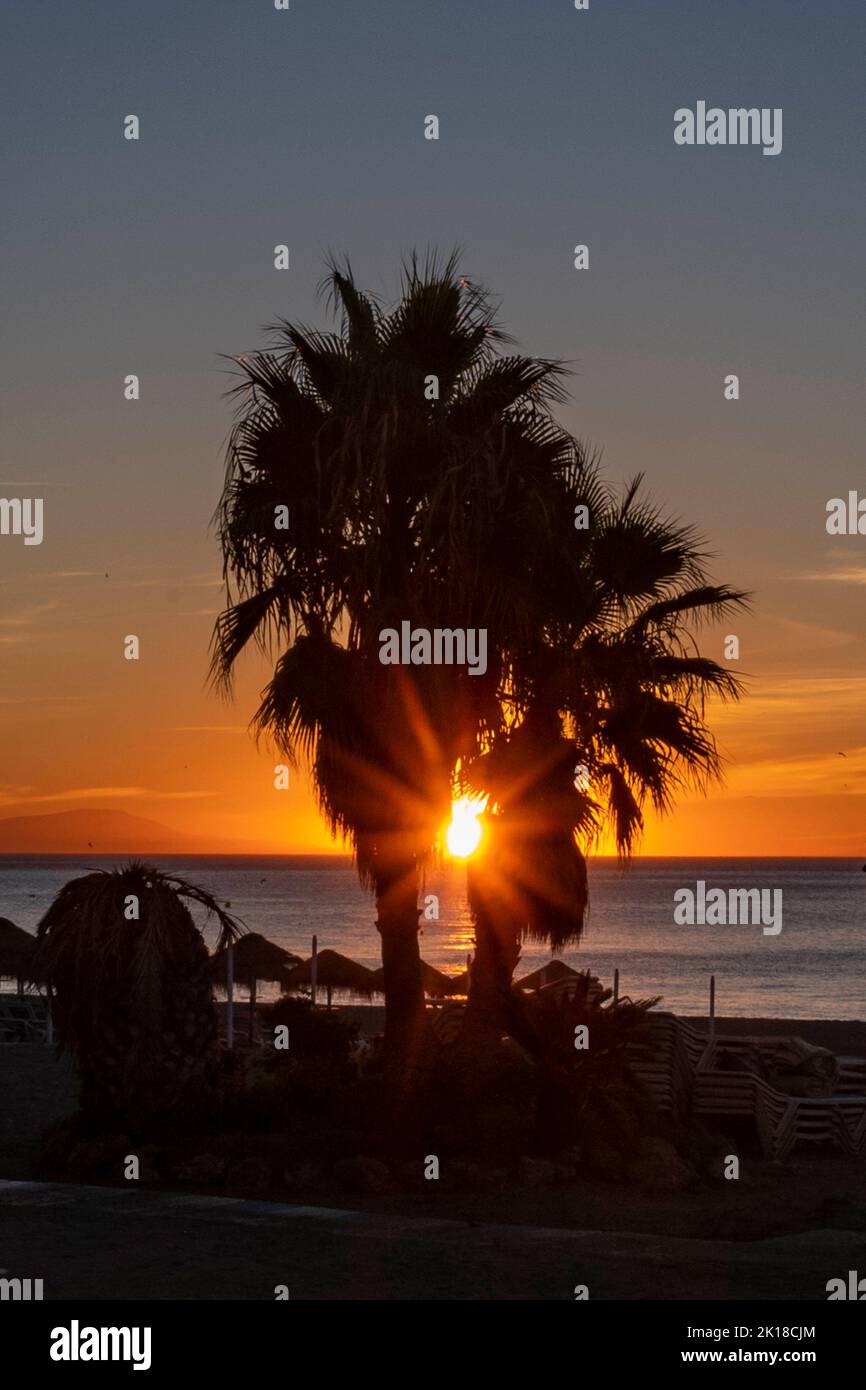 Sunrise through palm trees hi-res stock photography and images - Alamy
