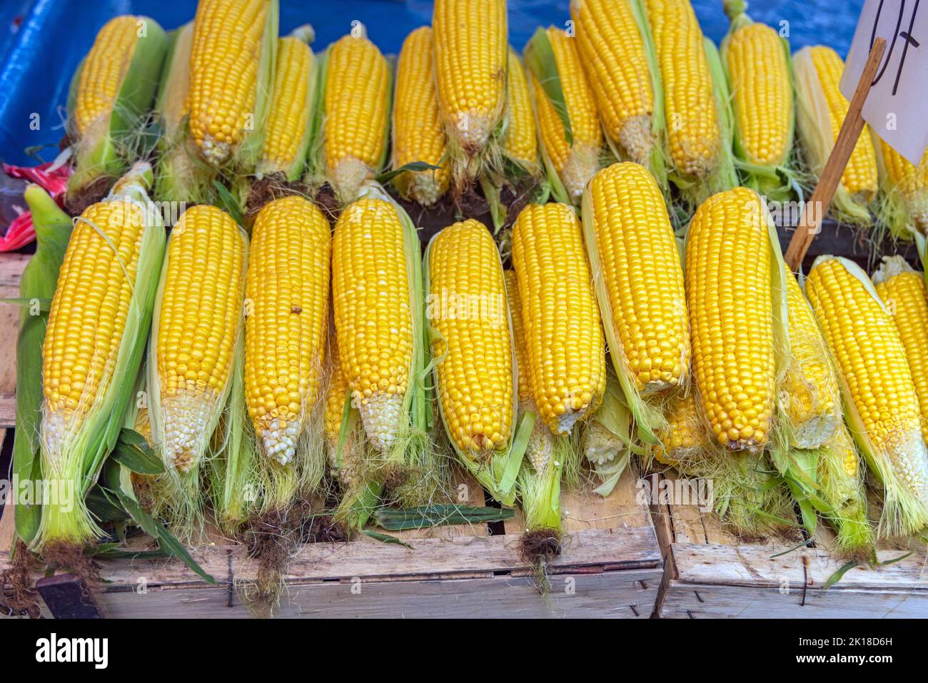 Yellow Corn Maize on Cob at Farmers Market Stock Photo