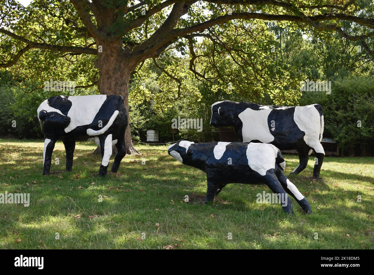 The concrete cows by Liz Leyh at Milton Keynes Museum in Wolverton. These are the original cows. There is also a replica set at Bancroft. Stock Photo