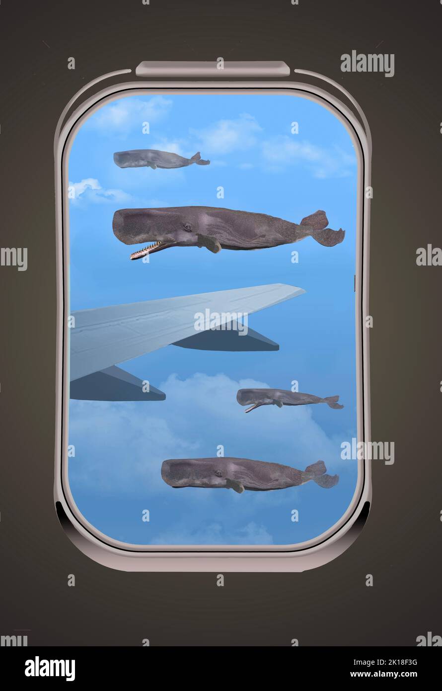 Sperm whales fly and are seen outside an airliner window near the airplane wing in a 3-d fantasy illustration. Stock Photo