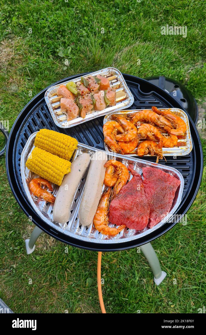 Barbecue at the campground at summer camp trips, skewers of pork and beef tenderloin at barbecue party in camping, summer camp trips an activity to re Stock Photo