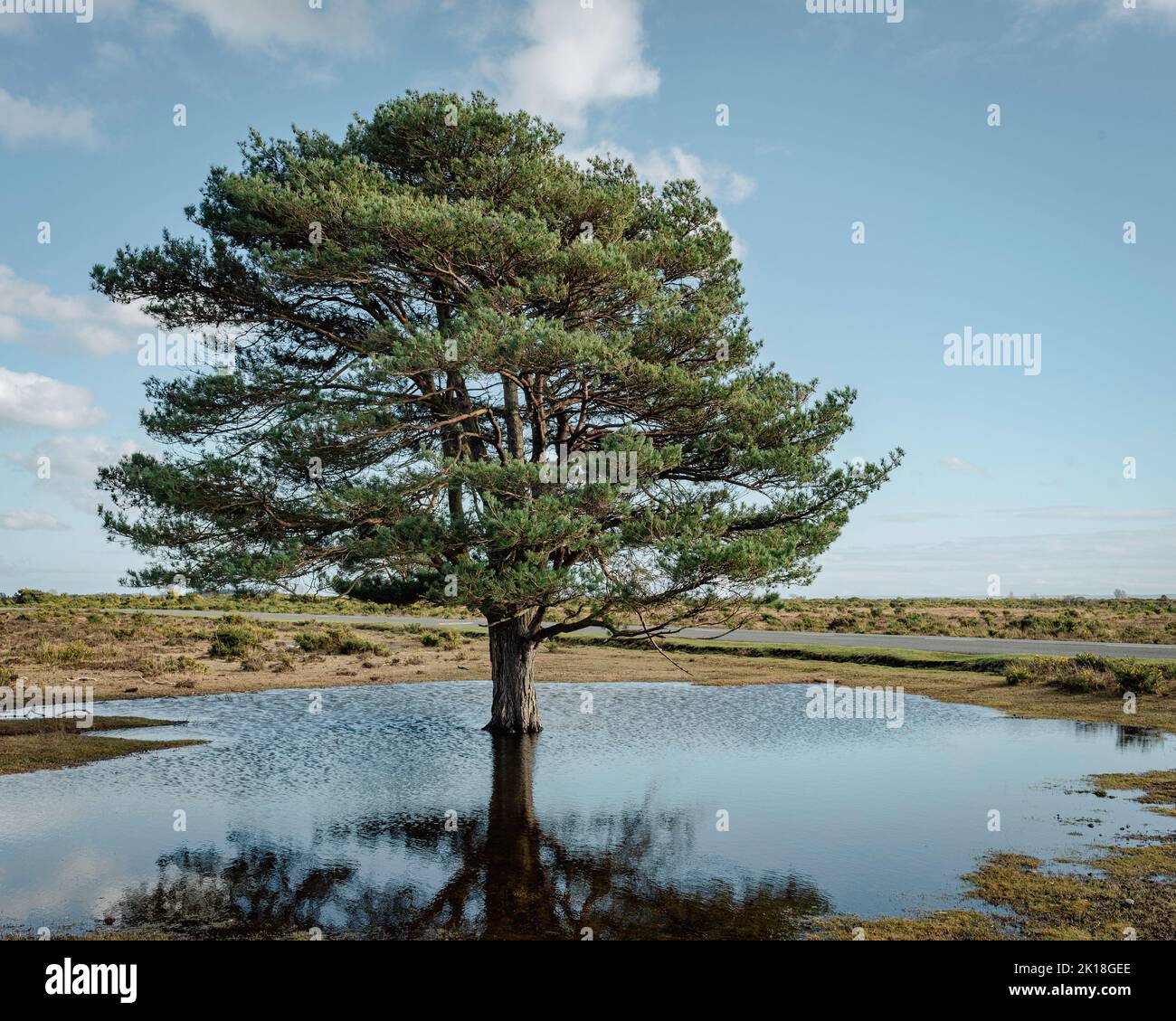 Water cycle in nature hi-res stock photography and images - Alamy