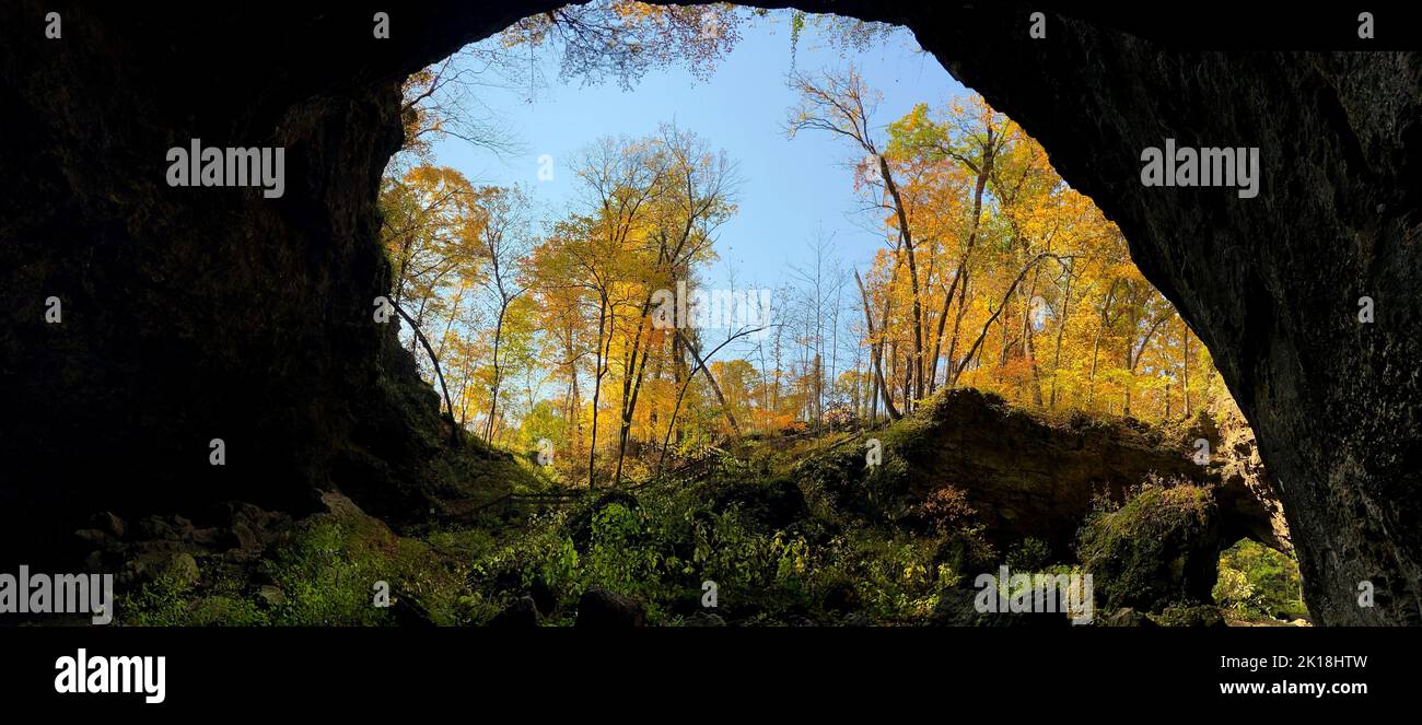 October 10, 2020, MAQUOKETA, IOWA, USA: Fall colors are illuminated as you looking out from the the 1,100-foot â€œDancehall Caveâ€ in Maquoketa Caves State Park located at 9688 Caves Rd., Maquoketa, Iowa..About 13 caves can be found in the park, some of which can be explored by walking, while others are better suited for serious spelunkers who are used to crawling in tight spaces..With more caves than any state park, Maquoketa Caves is one of Iowaâ€™s most unique outdoor attractions. .Enormous bluffs tower throughout the park, and a six-mile trail system winds through geologic formations and Stock Photo