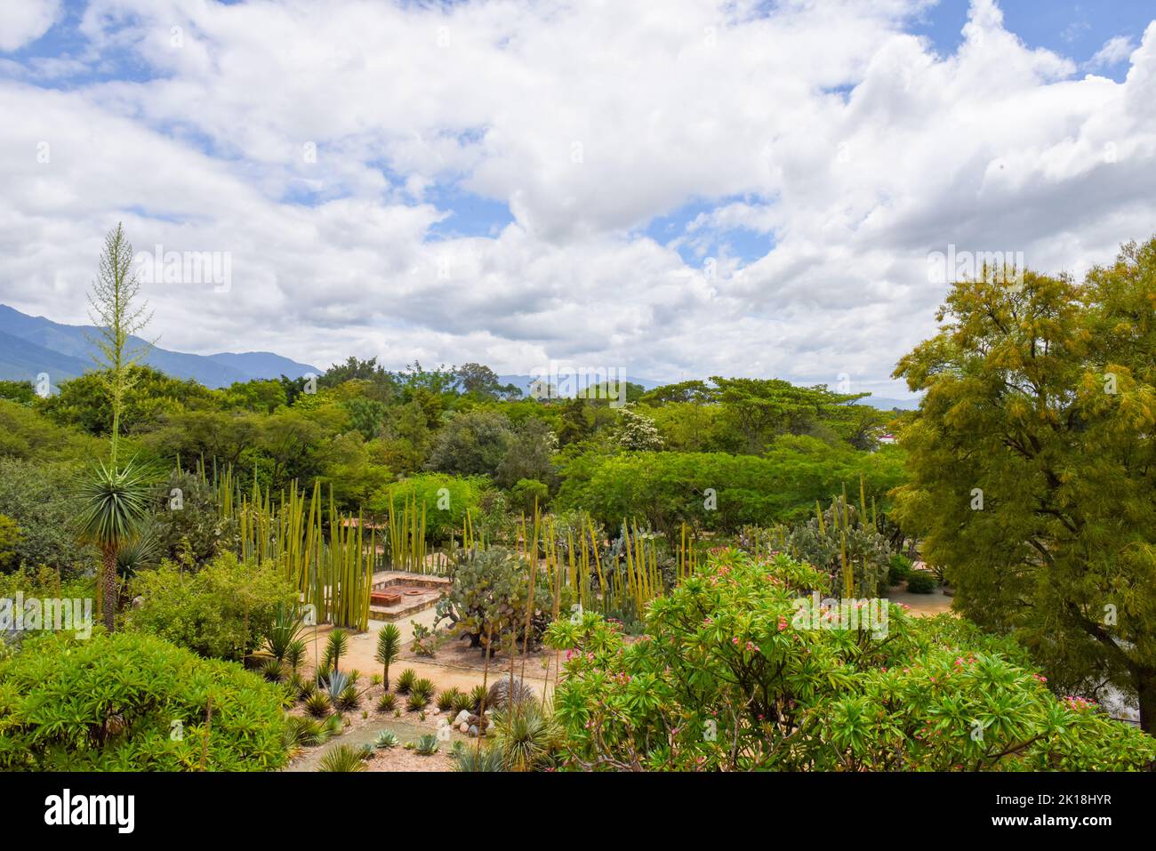 The Ethnobotanical Garden of Oaxaca (adjacent to the Church of Santo Domingo) features hundreds of plant species, all native to Oaxaca state.Oaxaca de Juarez, Mexico. Stock Photo