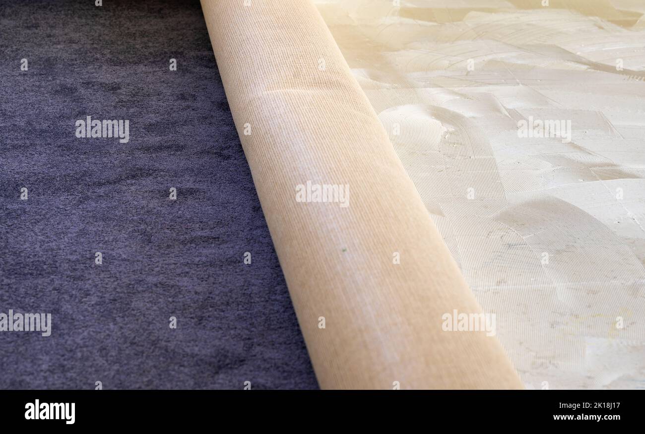 Installing a new carpet by glueing the carpet to the floor. Stock Photo