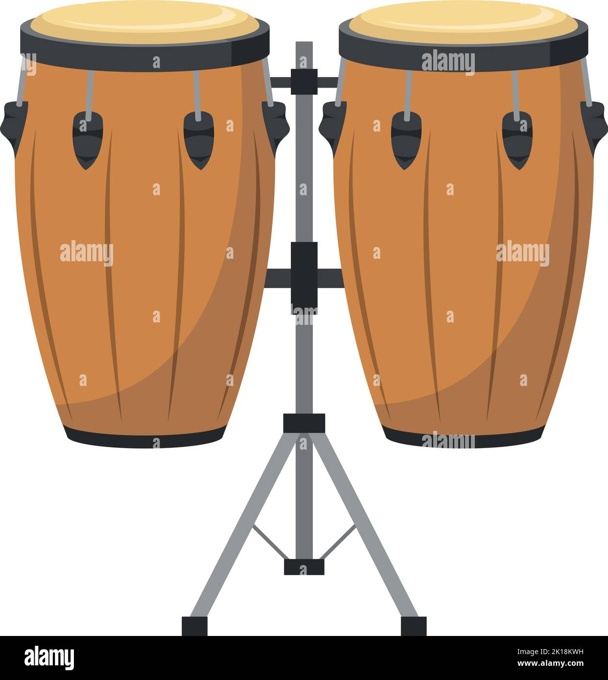 Vector illustration of conga drums in cartoon style isolated on white