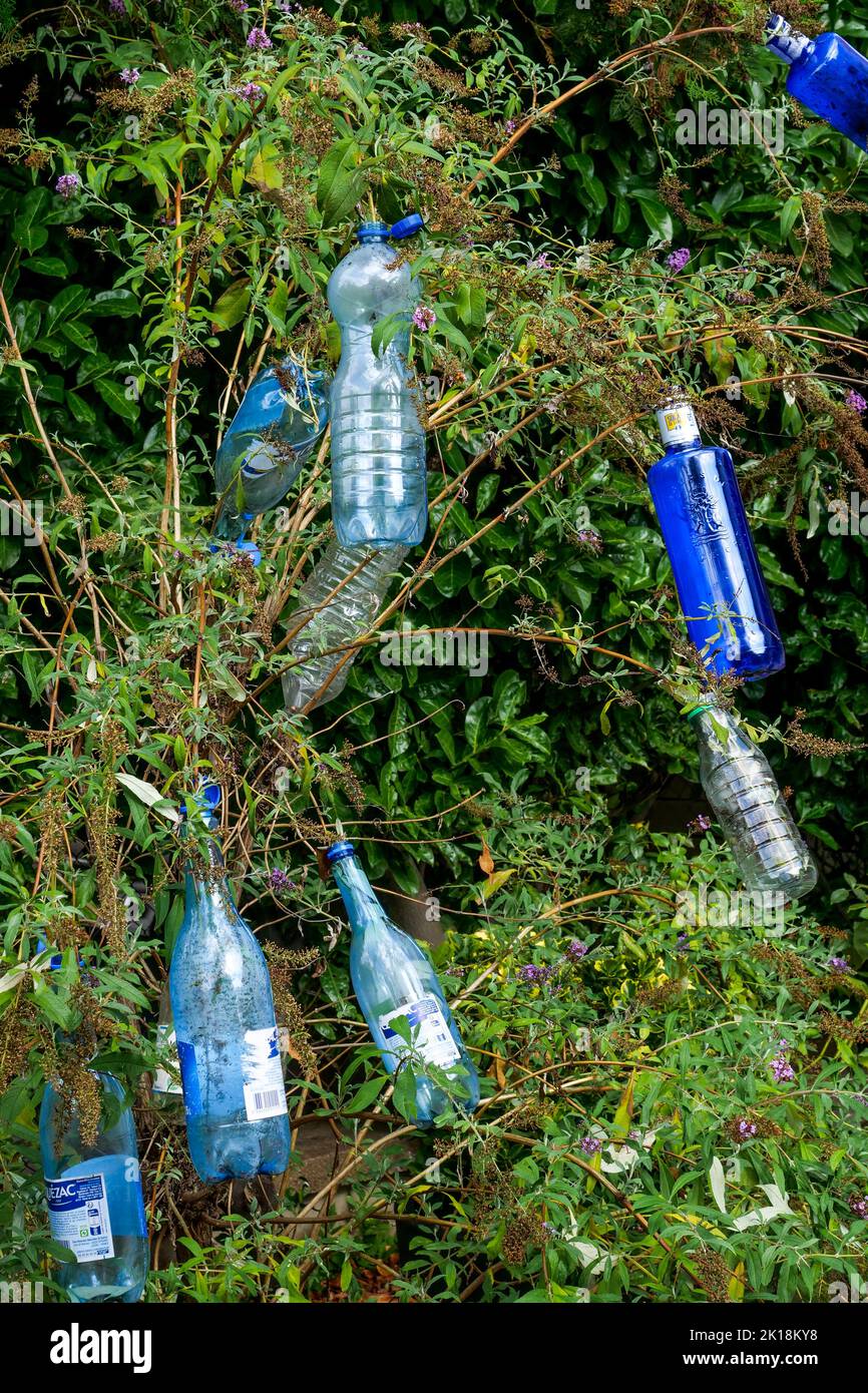 https://c8.alamy.com/comp/2K18KY8/strange-plastic-fruits-hanging-on-shrub-branches-lyon-france-2K18KY8.jpg