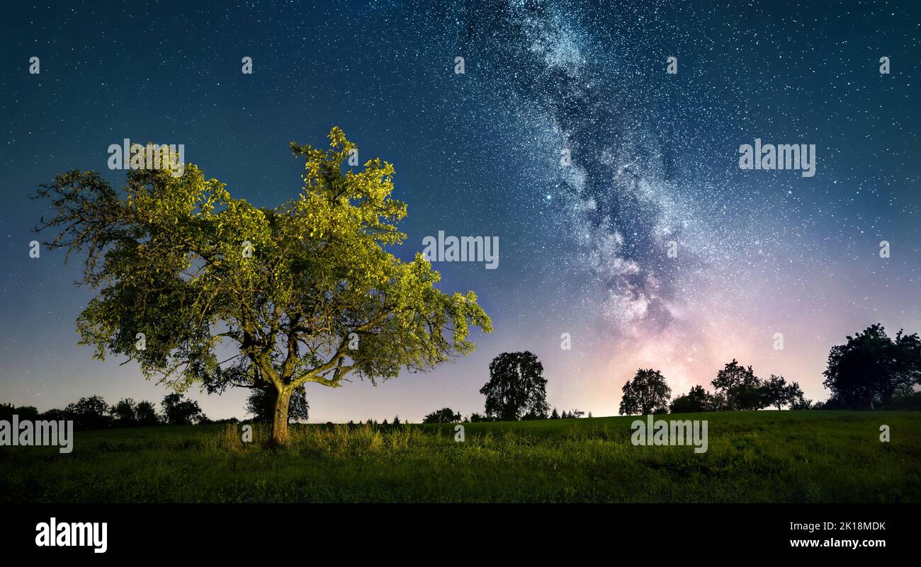 Gorgeous starry night landscape with a lit tree and the Milky Way Stock Photo