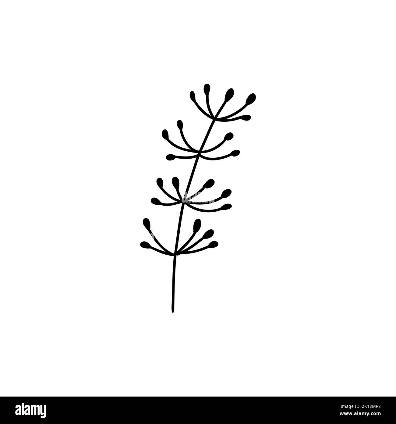 Doodle flower tattoo. Outline floral sketches. Vector hand drawn vintage flowers collection