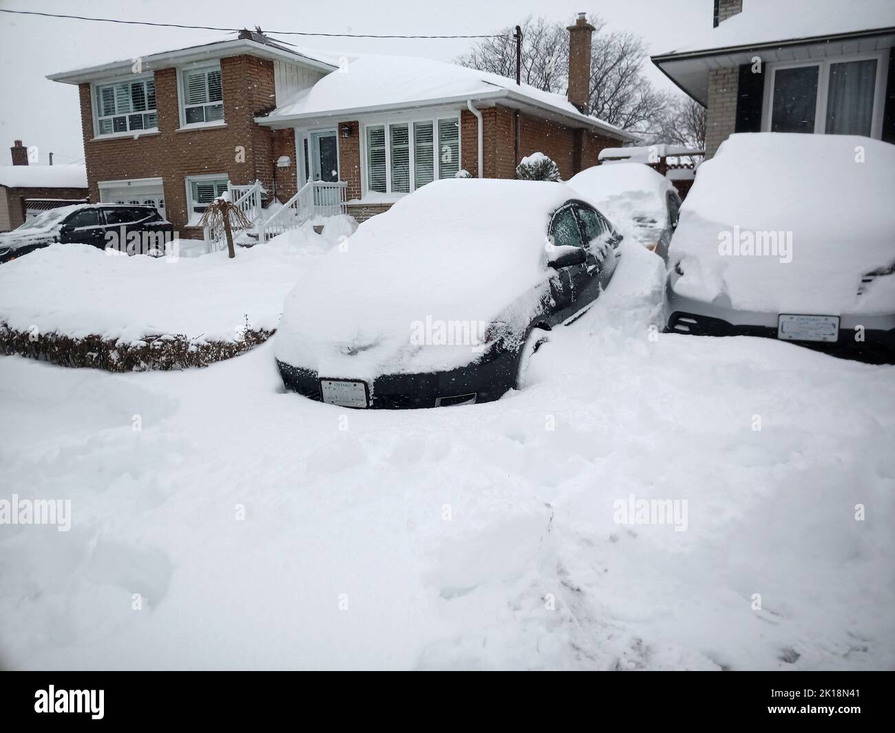 Cars and homes covered with snow after a winter snowstorm, Toronto ...