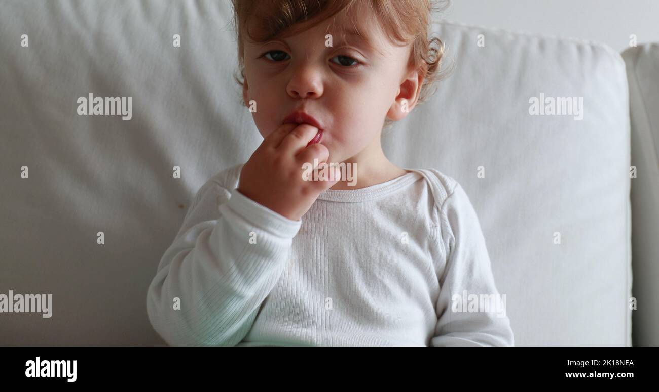 Baby eating blueberries sitting on sofa. Infant one year old toddler