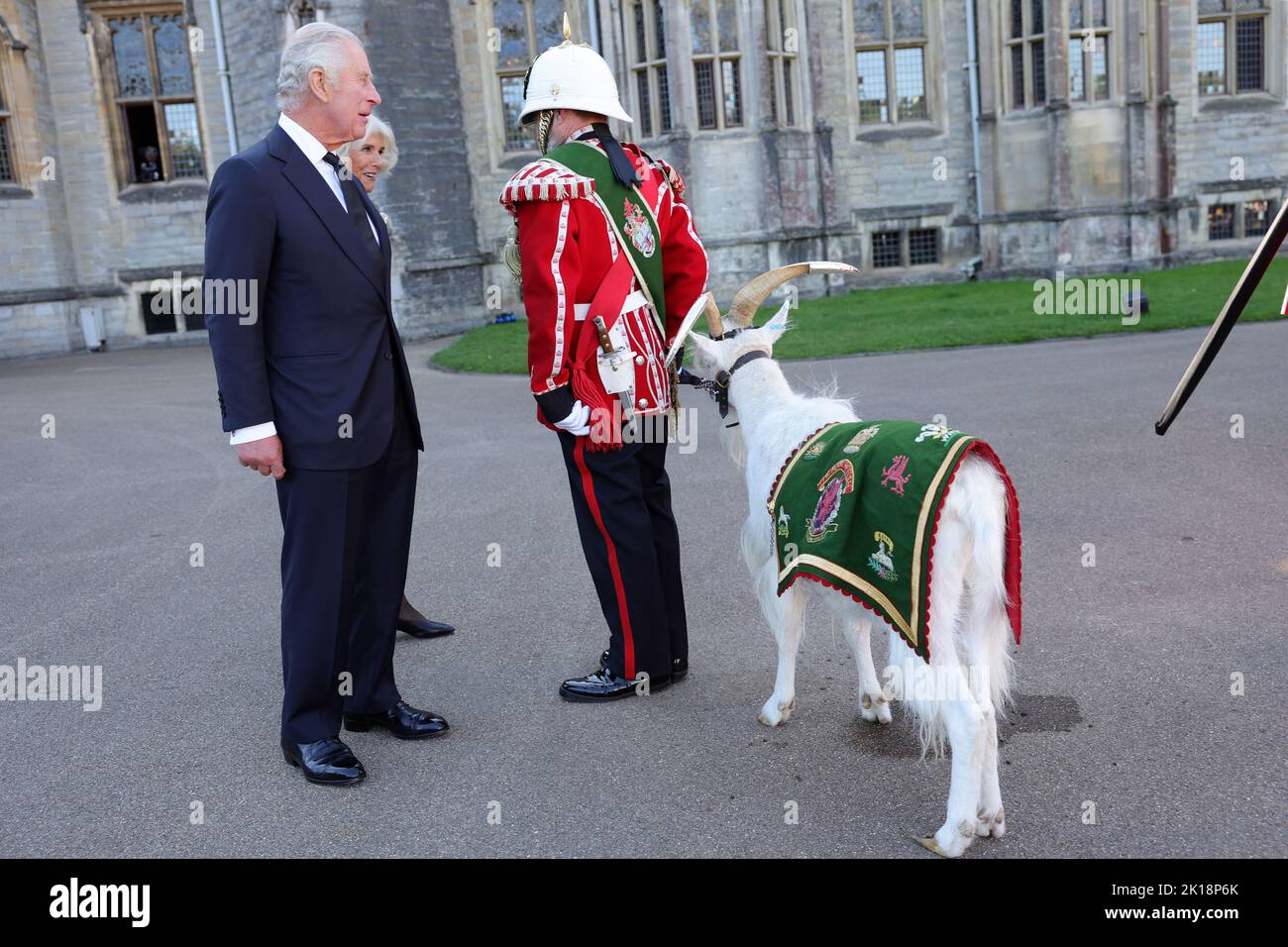 King Charles III and the Queen Consort meet Sheinkin IV, goat mascot for the Royal Welsh Third Battallion at Cardiff Castle in Wales. Picture date: Friday September 16, 2022. Stock Photo