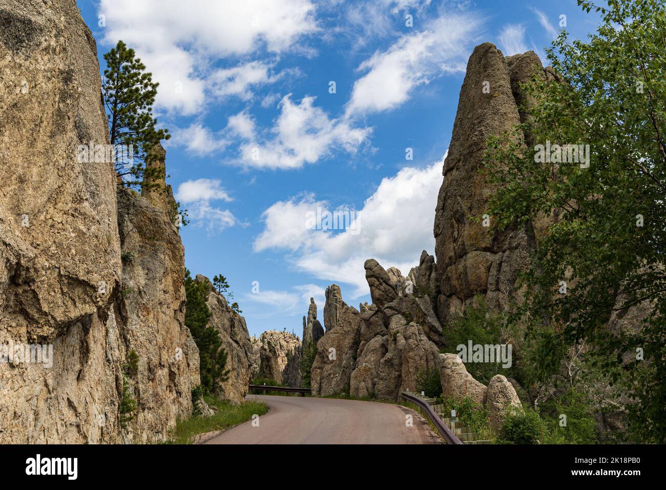 scenic-road-passing-cathedral-spires-at-custer-state-park-south-dakota
