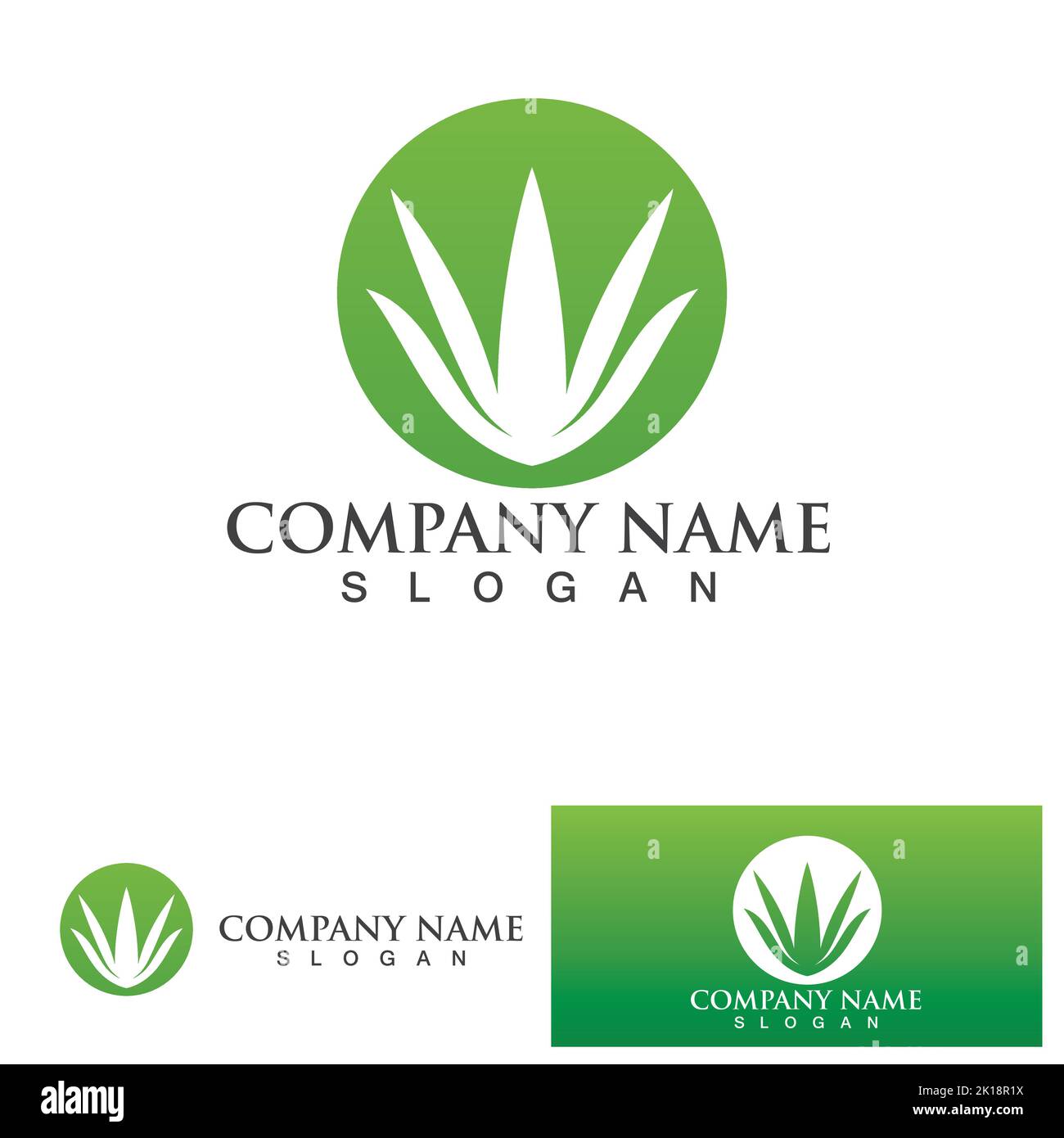 Aloe vera logo vector ilustration Stock Vector