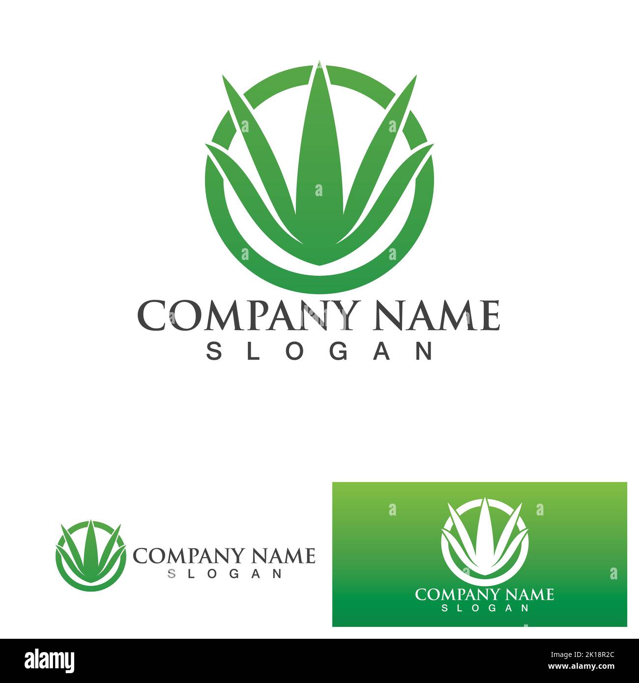 Aloe vera logo vector ilustration Stock Vector