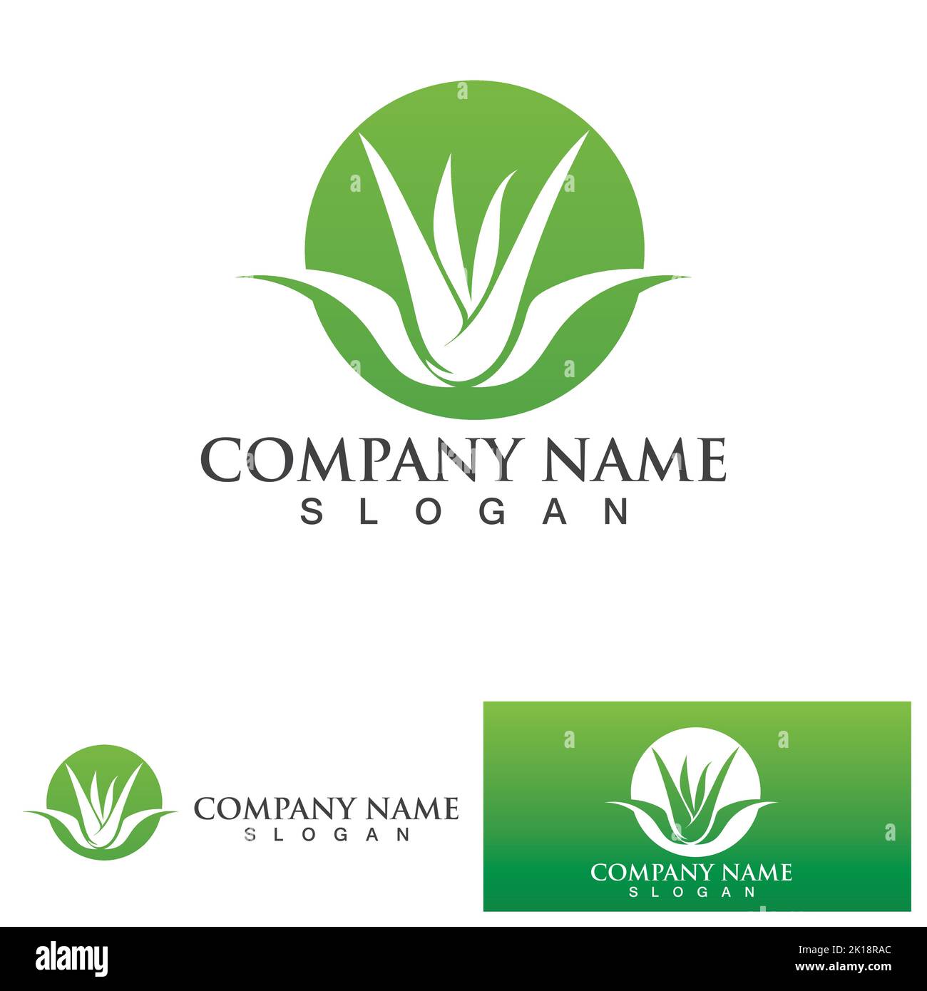 Aloe vera logo vector ilustration Stock Vector