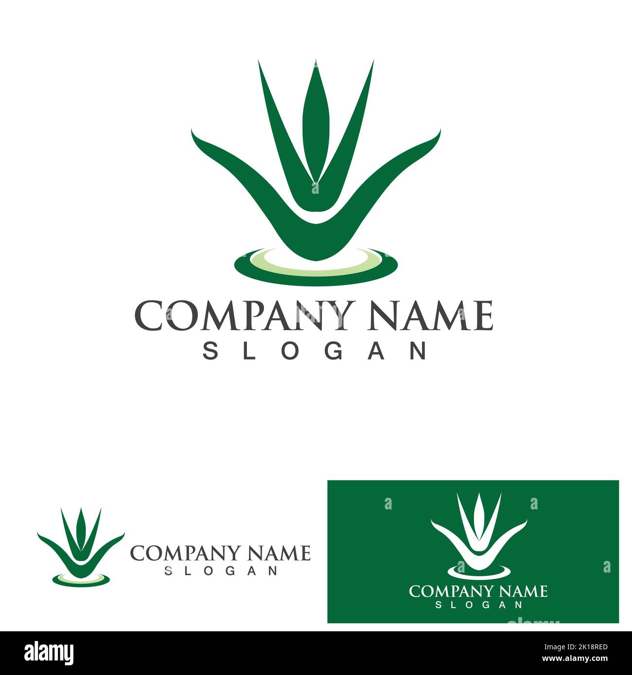 Aloe vera logo vector ilustration Stock Vector