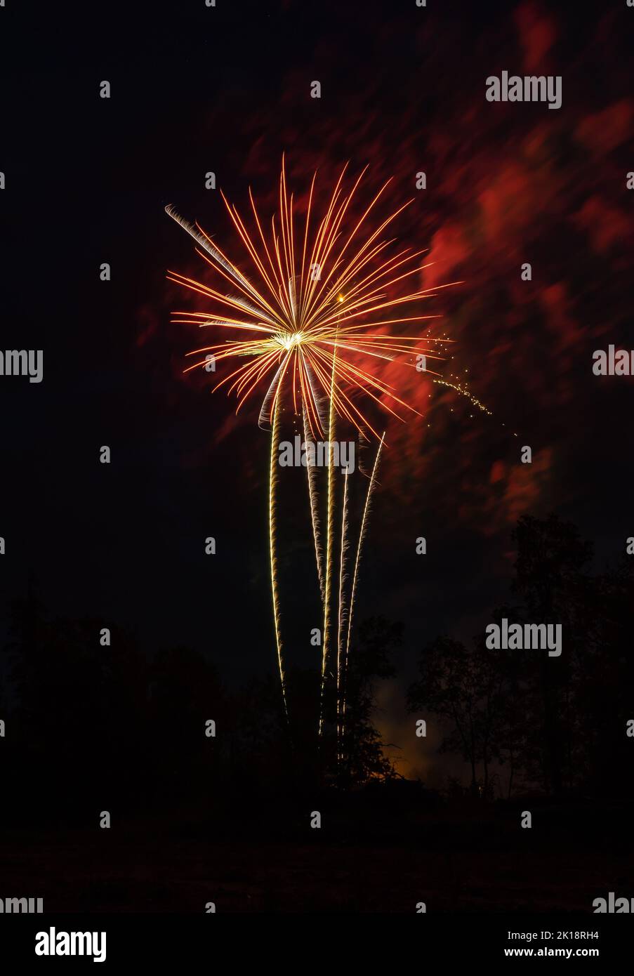 Spectacular fireworks streaking upwards and exploding with in the sky. Stock Photo