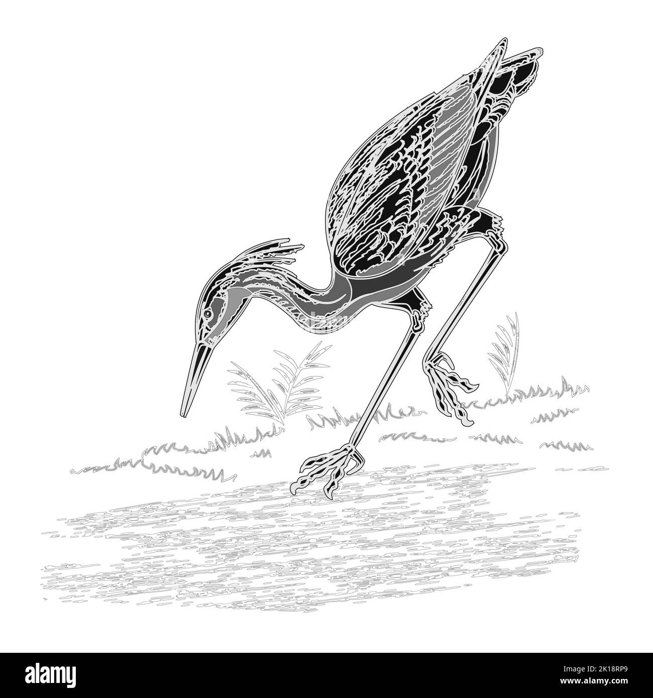 Heron water bird on the hunt vintage engraving vector illustrations Stock Vector