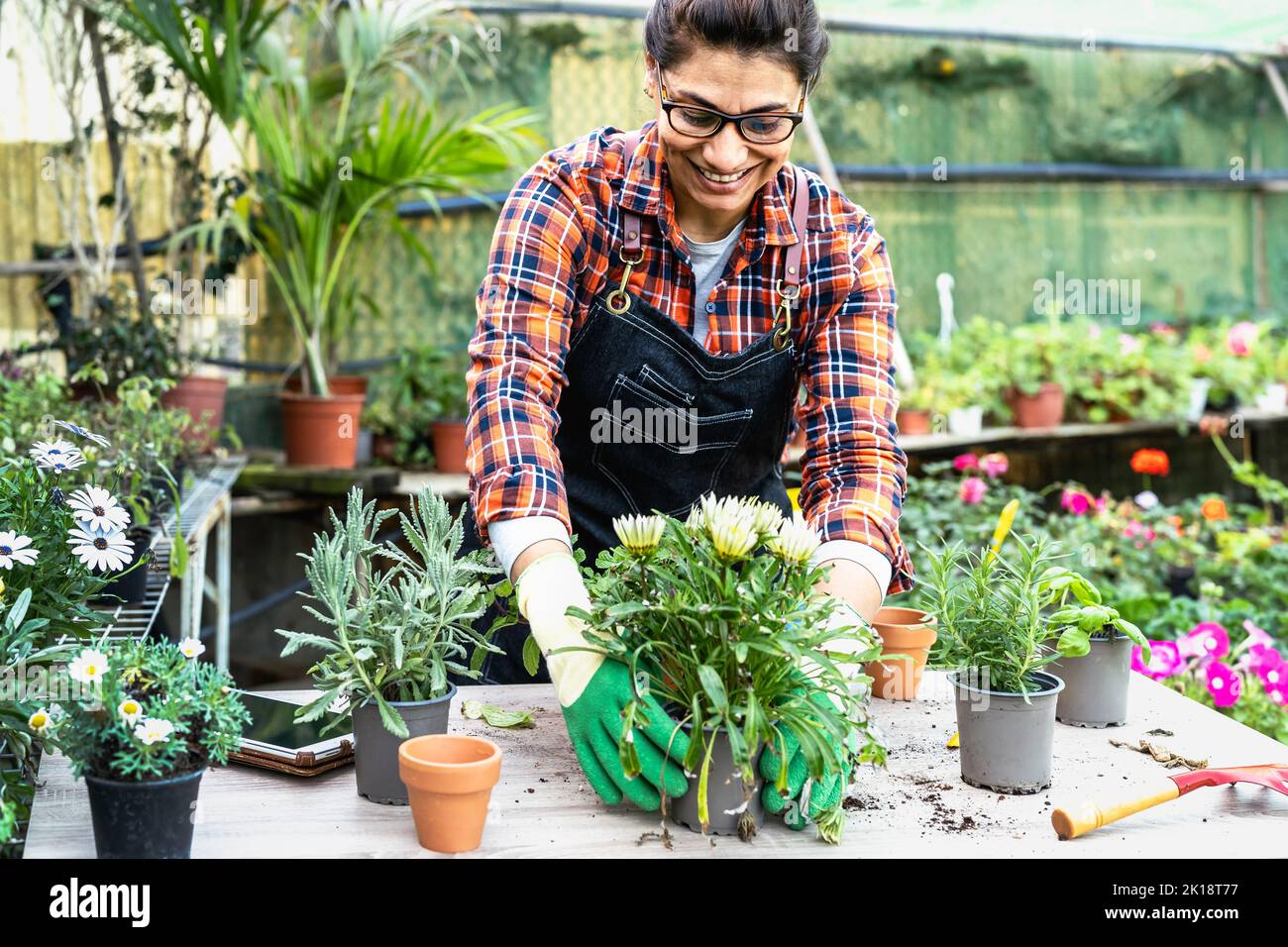 Happy Hispanic woman working in plants and flowers garden shop Stock Photo