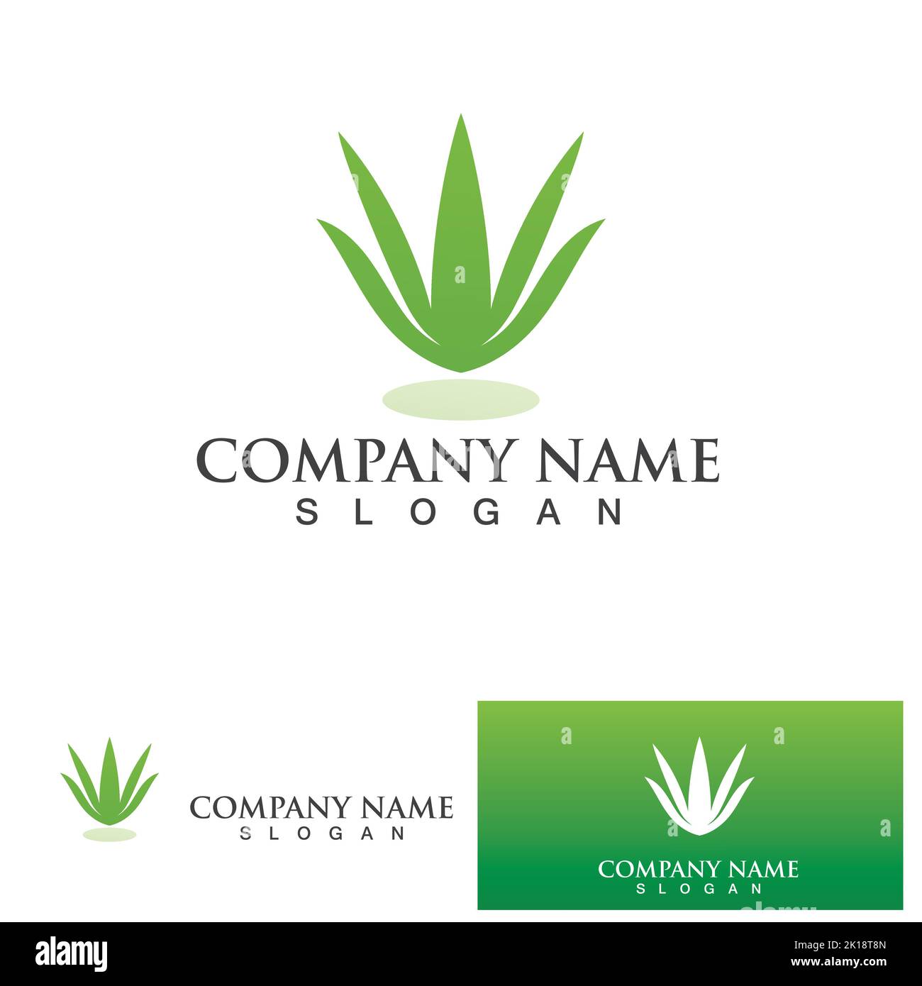 Aloe vera logo vector ilustration Stock Vector