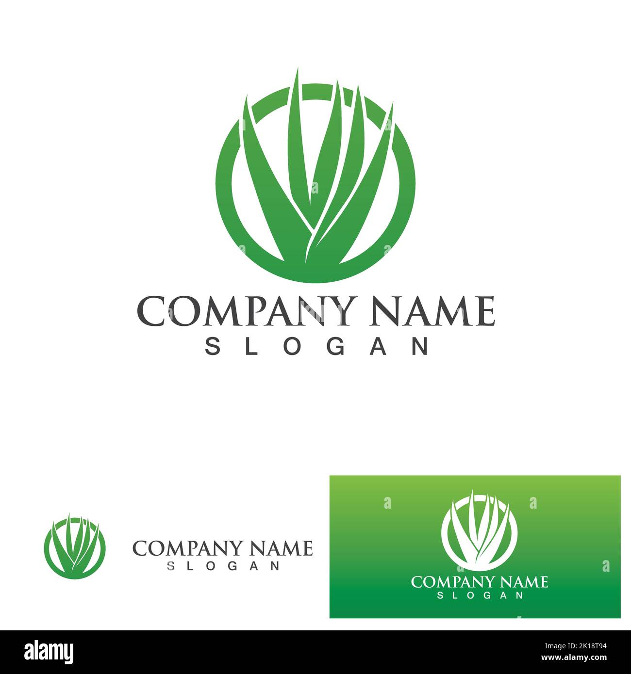Aloe vera logo vector ilustration Stock Vector