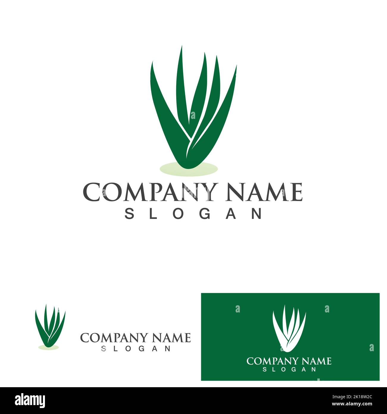 Aloe vera logo vector ilustration Stock Vector
