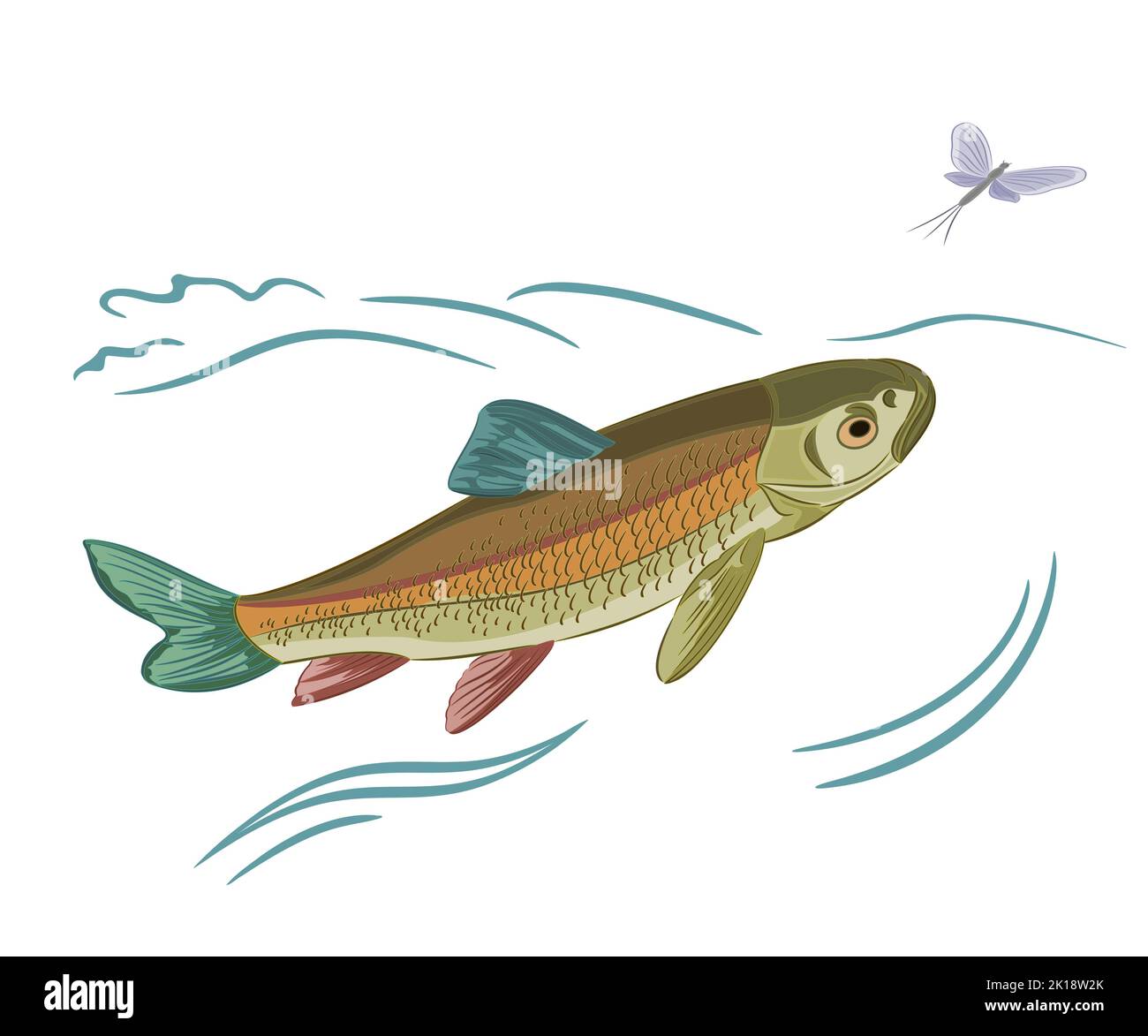 Fish caught ephemera vector illustration Stock Vector Image & Art Alamy