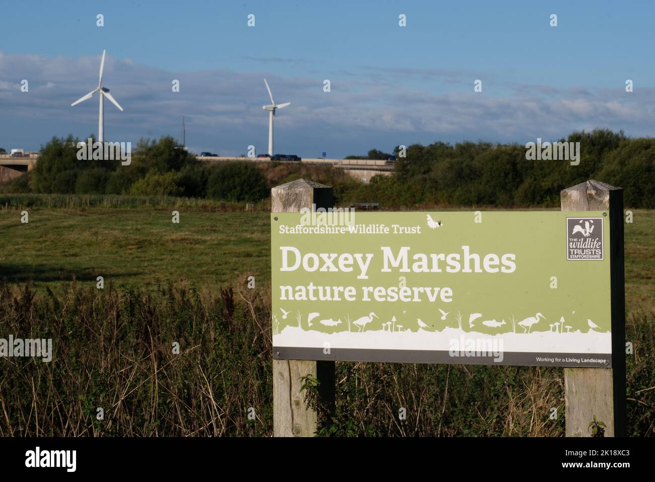 Doxey Marshes Stock Photo